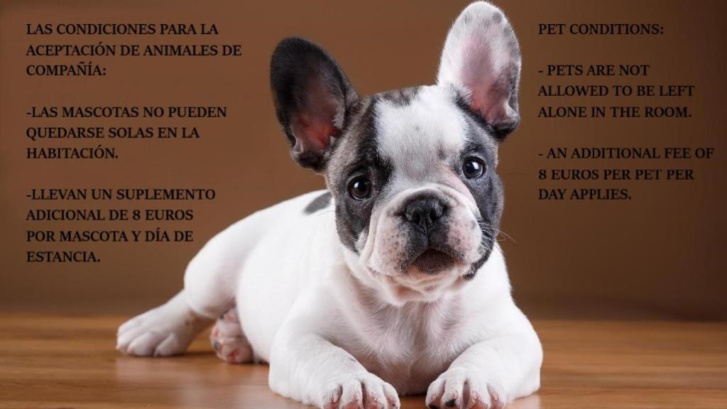 Las Abadias Mérida Eksteriør bilde